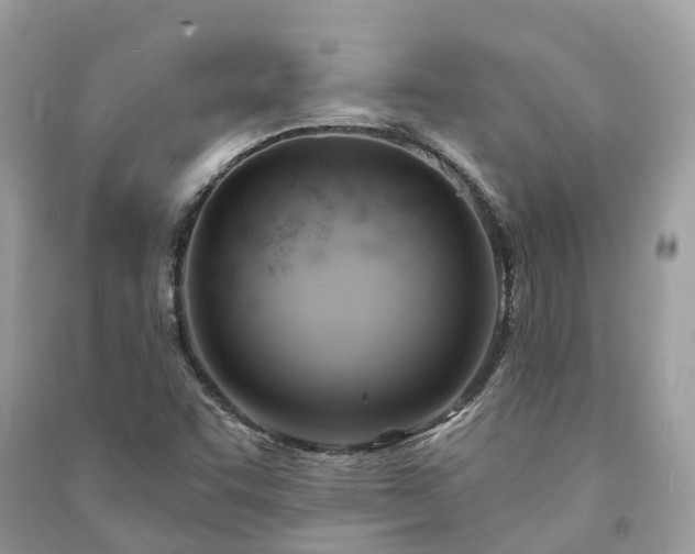 X0000091001455200708091530