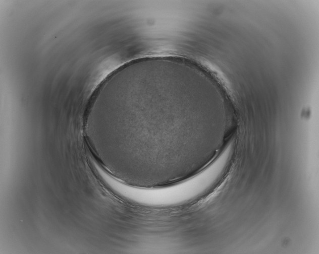 X0000091001457200708091530
