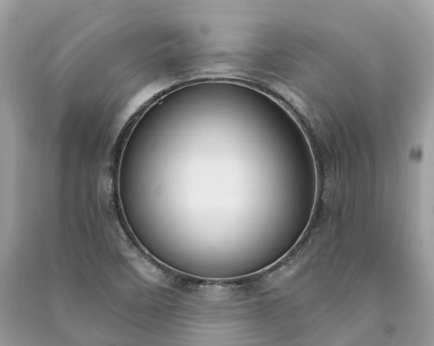 X0000091001458200708091530