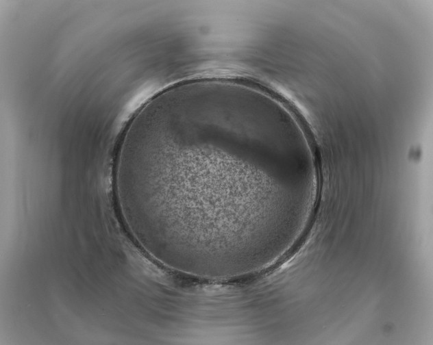 X0000091001459200708091530