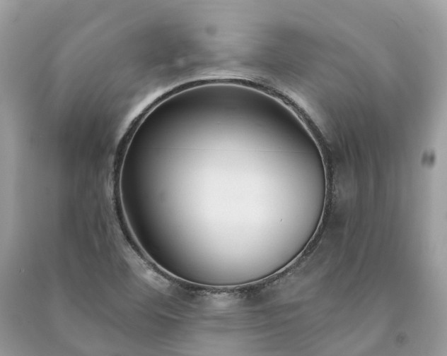 X0000091001460200708091530