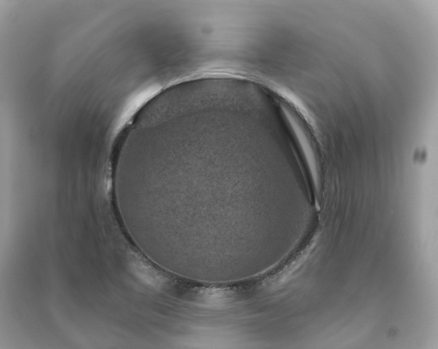 X0000091001461200708091529