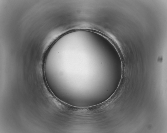 X0000091001464200708091529