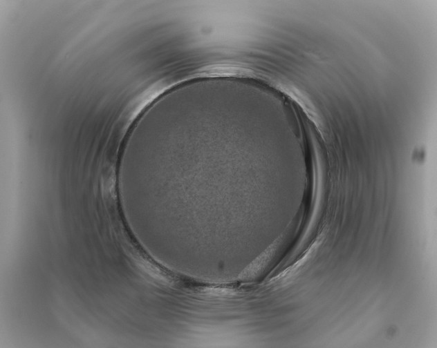 X0000091001465200708091529