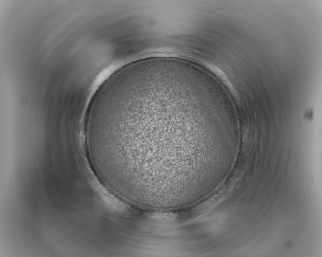 X0000091001466200708091529