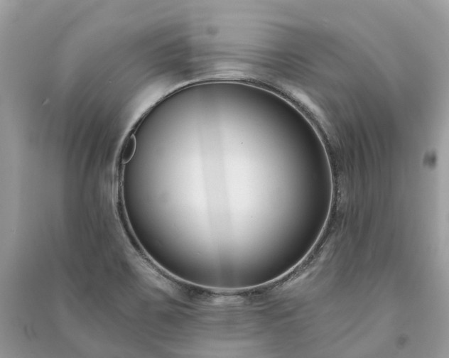 X0000091001467200708091529