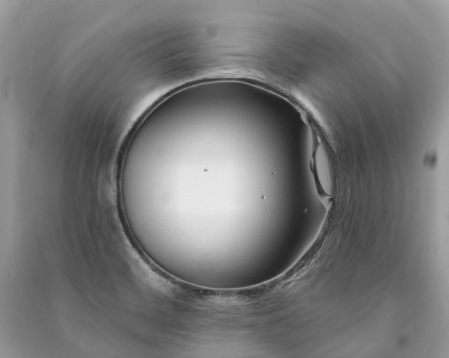 X0000091001468200708091529