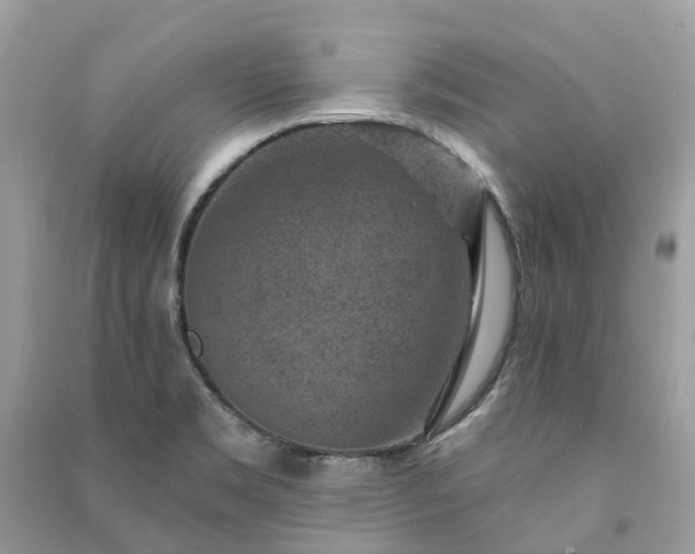 X0000091001469200708091529