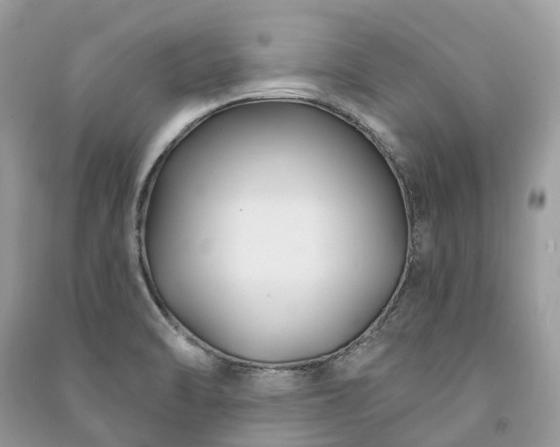 X0000091001470200708091529