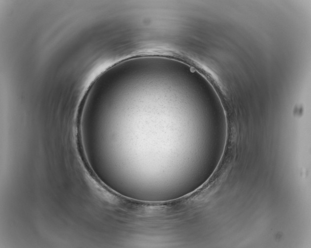 X0000091001471200708091529