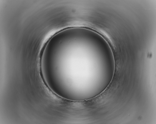 X0000091001472200708091529