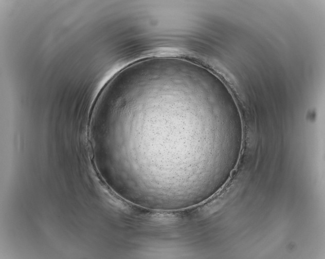 X0000091001473200708091529