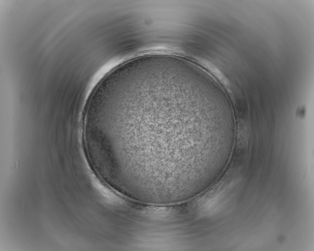 X0000091001474200708091529
