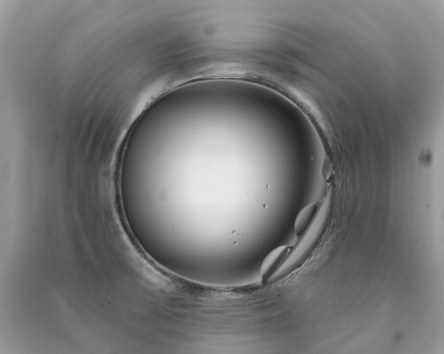 X0000091001475200708091529