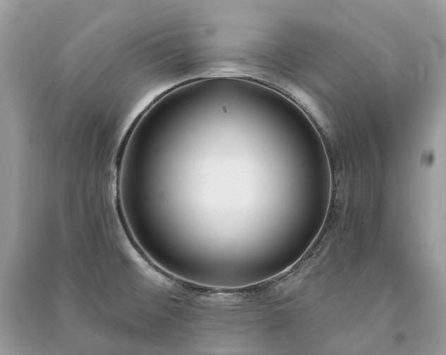 X0000091001476200708091529