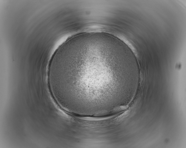 X0000091001477200708091529