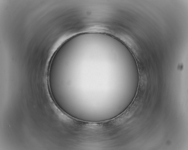 X0000091001478200708091529