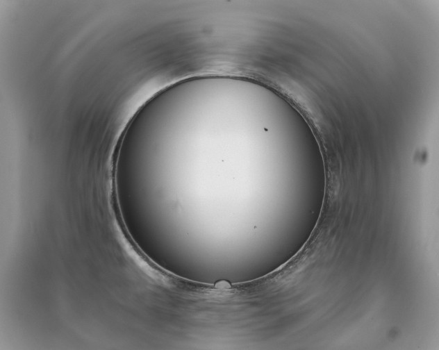 X0000091001479200708091529