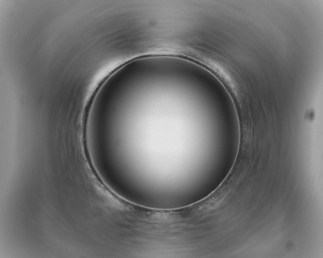 X0000091001480200708091529
