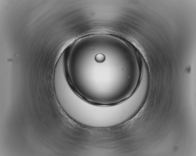 X0000091001481200708091529