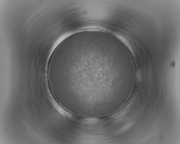 X0000091001482200708091529