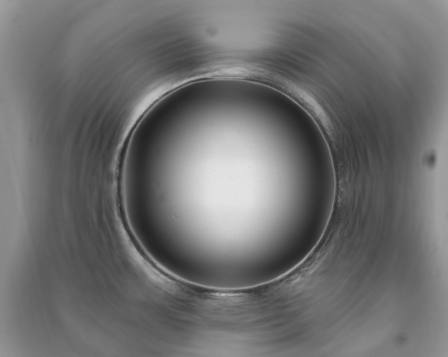 X0000091001483200708091529