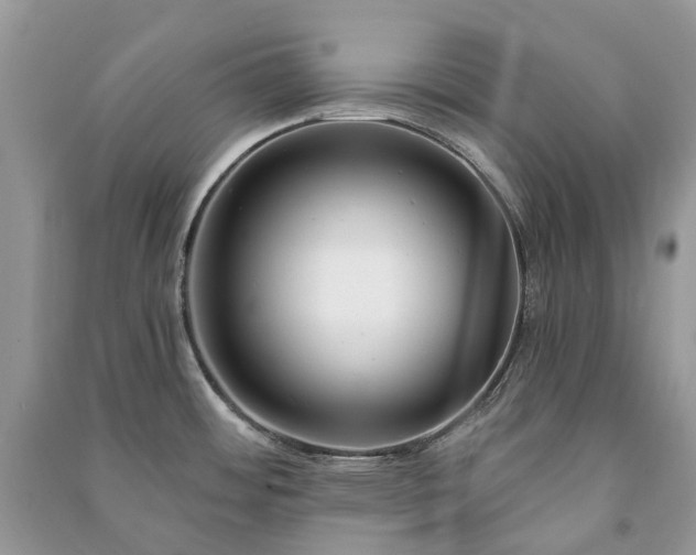 X0000091001484200708091529