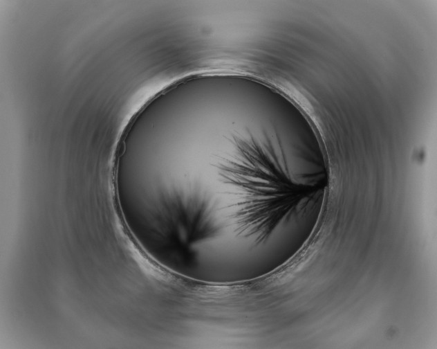 X0000091001485200708091529