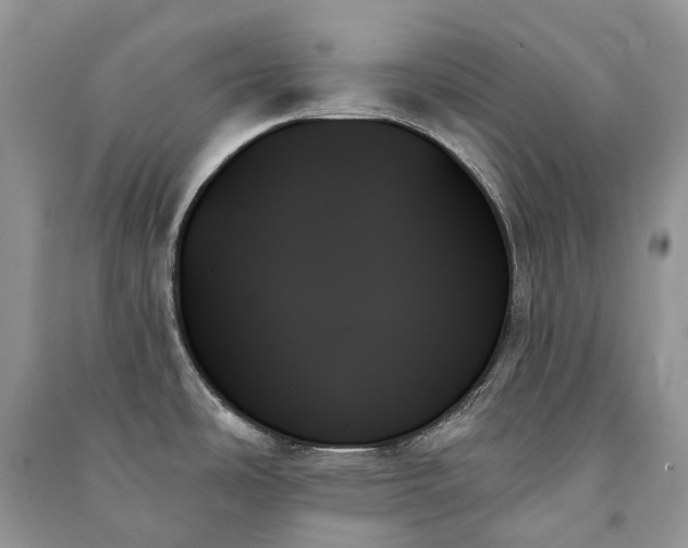 X0000091001486200708091529