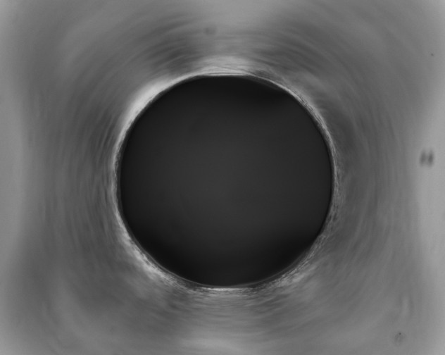X0000091001488200708091529