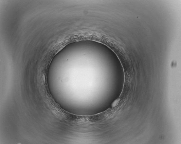 X0000091001489200708091528
