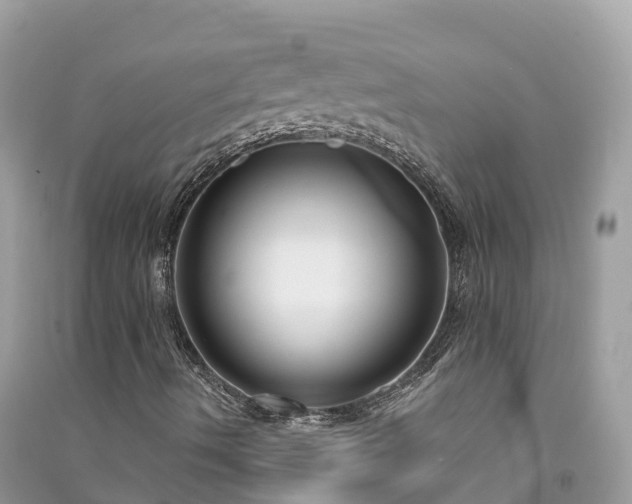 X0000091001490200708091528