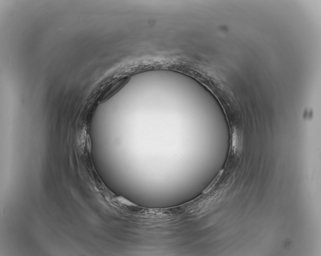X0000091001492200708091528