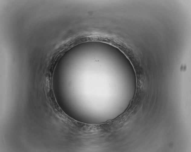 X0000091001493200708091528