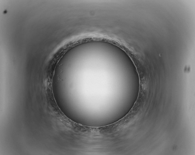 X0000091001495200708091528