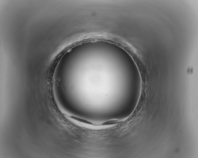 X0000091001496200708091528