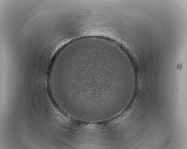 X0000091001497200708091528