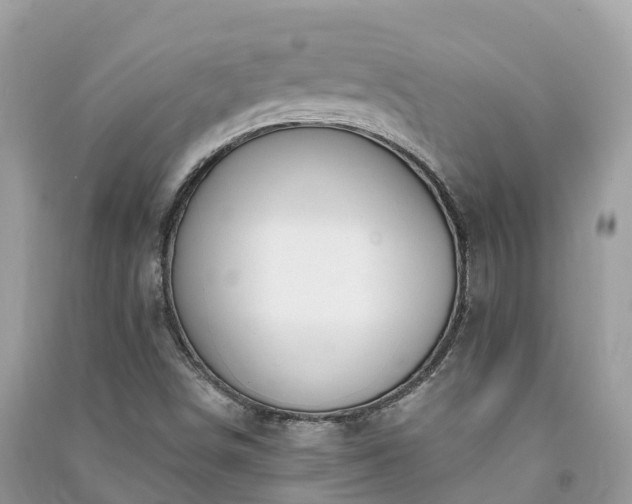 X0000091001498200708091529