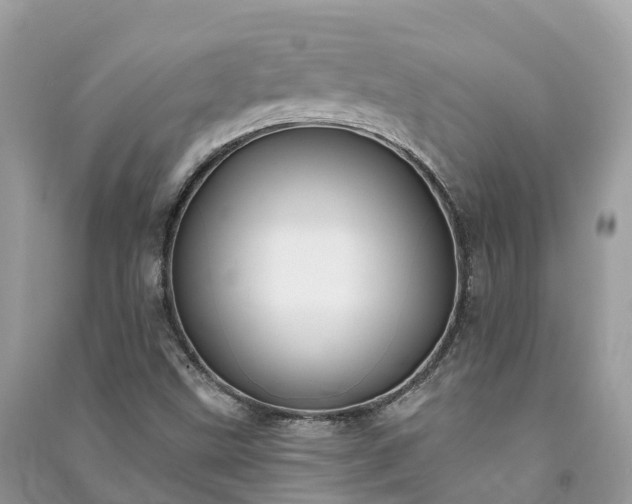 X0000091001499200708091529