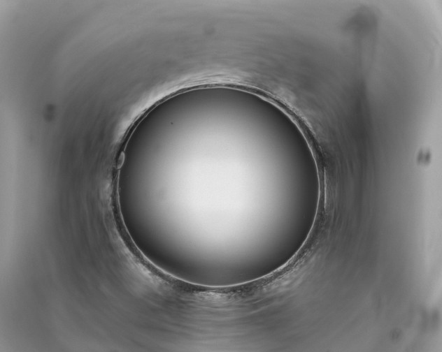 X0000091001500200708091529
