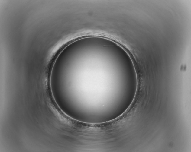X0000091001503200708091529