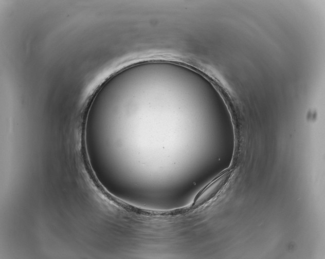 X0000091001504200708091529
