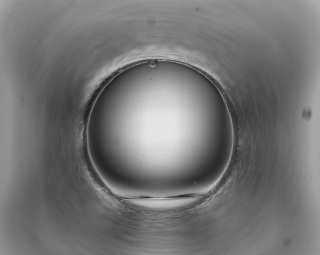 X0000091001507200708091529