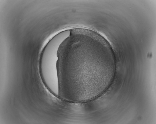 X0000091001508200708091529