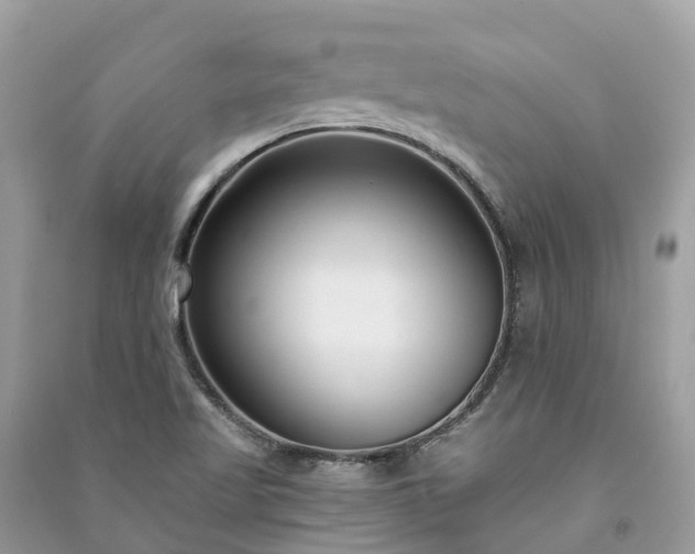 X0000091001509200708091529