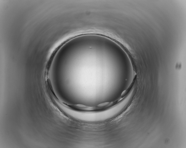 X0000091001510200708091529