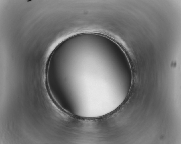 X0000091001512200708091529