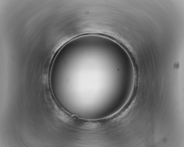 X0000091001513200708091529