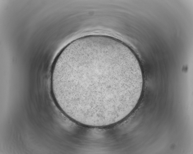 X0000091001514200708091529