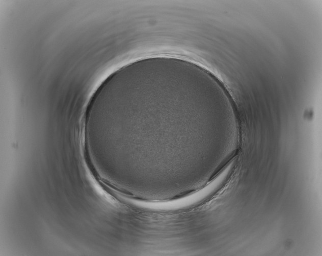 X0000091001515200708091529
